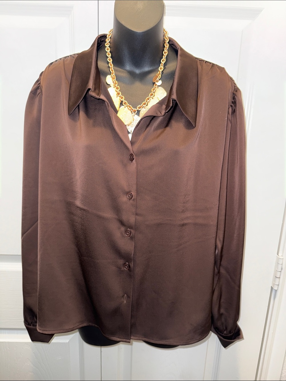 Versona Chocolate Satin Button-Down Blouse
